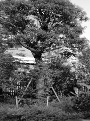 蚌山注册公司